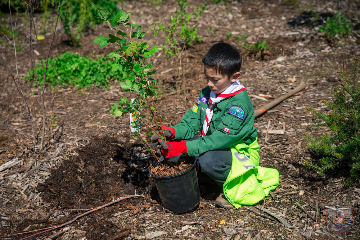 Youth particpating in Scouts for Sustainabilty