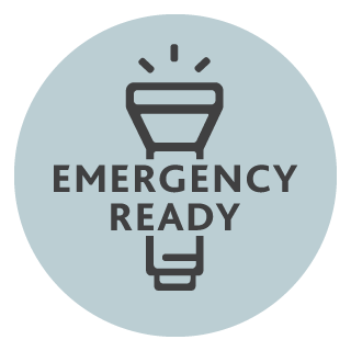 Other relevant emergency ready resources