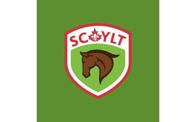 Scout YLT Certificate icon